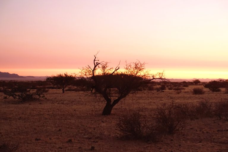 Namibian skies do incredible things during dusk.