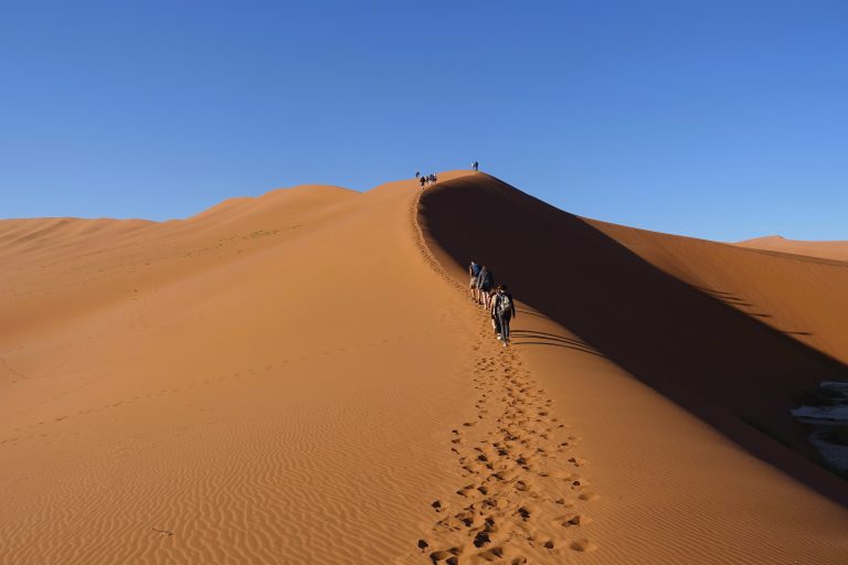 Dunno if you've ever attempted to climb a giant sand dune before, but it's not easy. The sand works against you, slowing down your usual pace, swallowing your feet, often even burning you because of the sweltering sun. But it's a good challenge and good fun to boot!