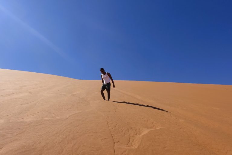 Oh wait nm, here's me again. Descending the dune this time. Coming down is oodles of fun: the sand swallows your feet and slows you down, which is much more enjoyable than the same phenomenon occurring during one's ascent!