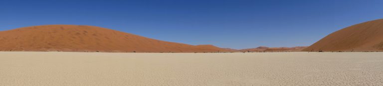 Another pano to give you an idea of what I was surrounded by. Notice the trees in the distance, which we'll return to anon...