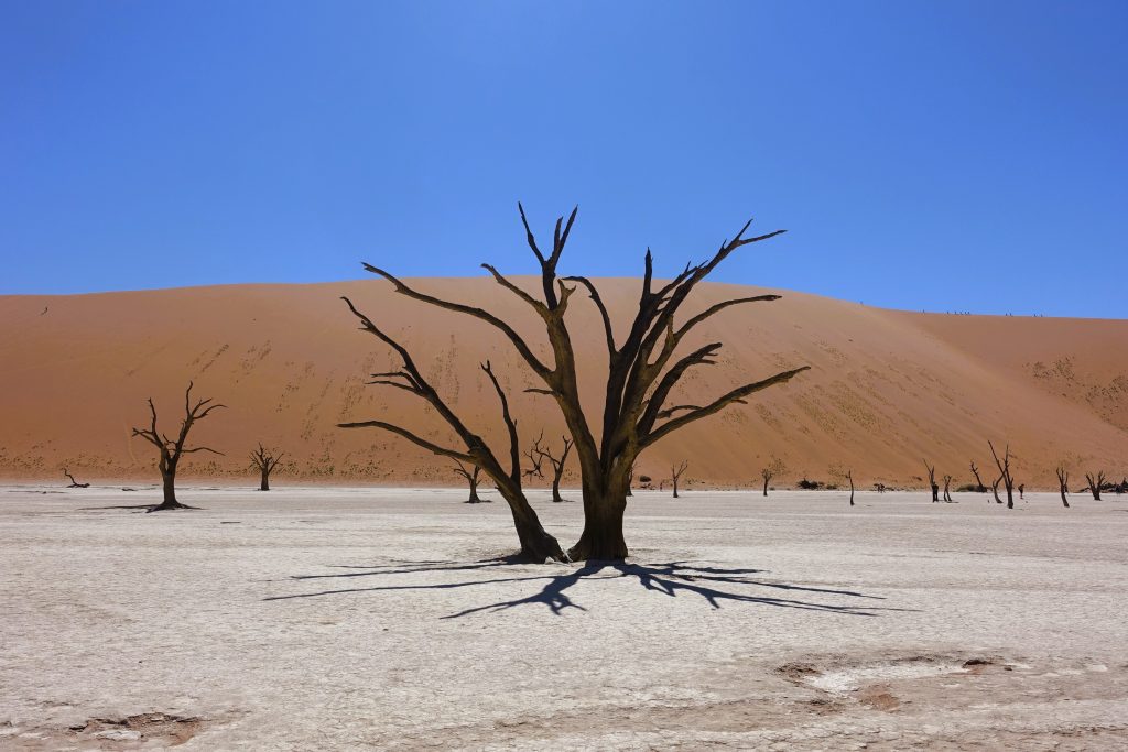 Deadvlei