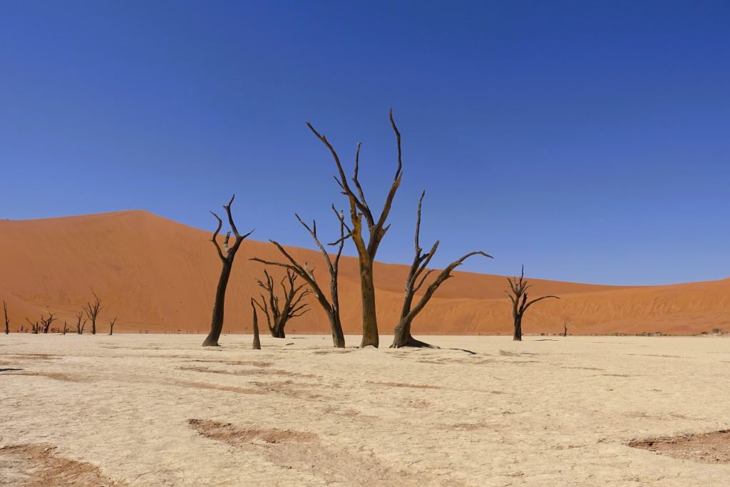 Deadvlei