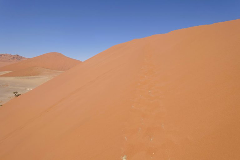My footprints on Dune 45 before beating a retreat.