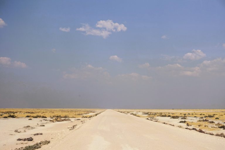 Etosha is a fascinating place. The numerous waterholes mean that you're almost guaranteed animal sightings, but then there are endless stretches of relatively barren ground, where it kinda merges with the giant salt pan and nothing seems to exist. I think I enjoyed this safari a little less than the Masai Mara because of those long stretches. There's also the fact that we weren't in a 'proper' safari vehicle for this one (just using the company's minivan, which limited what you could see to the windows), and also the fact that you have to keep to the roads whereas at the Masai Mara you can go off-track a bit.

There was also the fact that we were still with the horrendous guide that I mentioned earlier, who, after a few days with us, had learned to tone down the rambling and offensive monologues a little. But not much.

My favourite was when he openly pondered about how herbivores such as elephants could reach such colossal sizes when they have such (supposedly) poor sources of nutrition. I saw what was coming next - he then moved onto humans, and was like, how can people who eat only plants possibly be as healthy as those that don't.

This coming from a dude that can't walk uphill for more than two minutes at a time without panting and heaving and needing a break, being said to a guy that was the first to the summit of Kilimanjaro on his day, and who'd just sped up one of the tallest sand dunes in the world with considerably more ease than anyone else.

I pretty much stopped communicating with him after that point. This was after numerous stories of how the various animals in the park taste, and what the best way to hunt them is. Stupid, vile guy. 