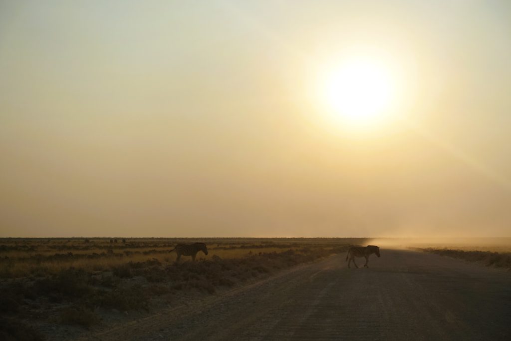 Etosha