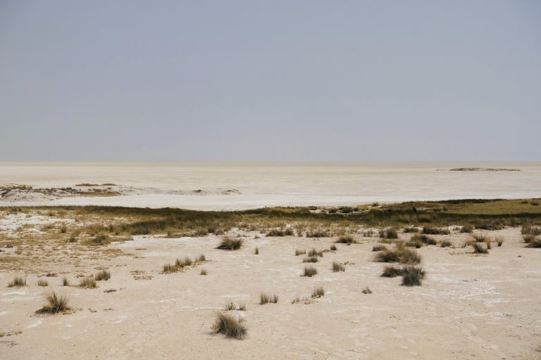 Obligatory reminder re: Namibia's otherworldly landscapes, and the fact that so much animal life seems to thrive inside this particular one.