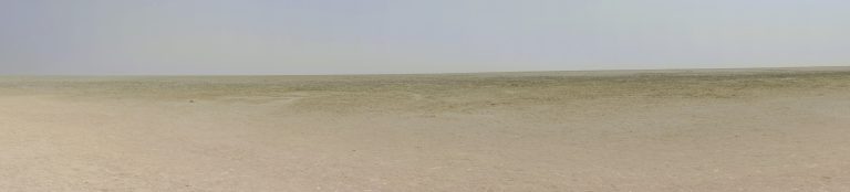 You can drive out to the edge of the salt pan. It's one of the only places in the park where you're allowed to get out of your vehicle. I guess because you can see everything (inc. danger) for miles around you.