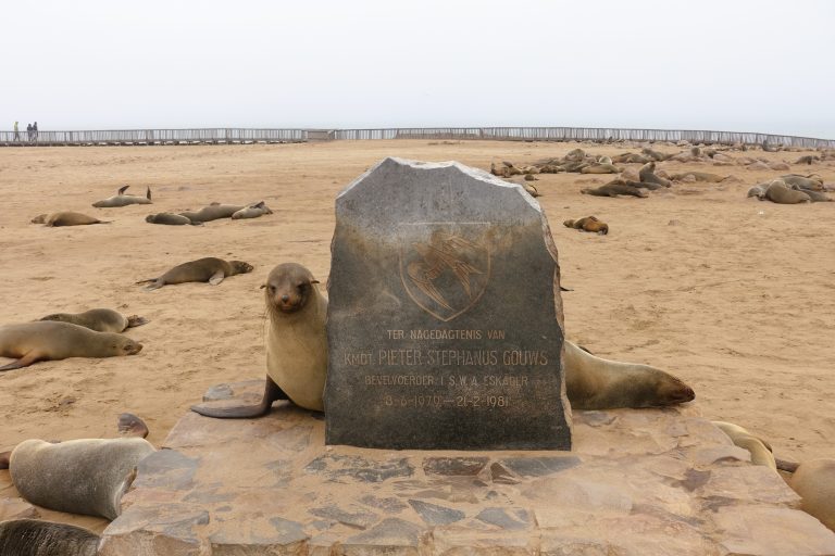After arriving in Swakopmund late afternoon and doing the tourist rounds, we rested up and then drove out to a place called Cape Cross the next morning. Cape Cross is actually on the Skeleton Coast, and I think it was one of the first areas in this region to be claimed by European colonialists (in this case, Portugal in the 15thC). It never became a proper settlement, however, and today it's home to a seal colony that's thousands-strong. Headstone here is for a pilot that went missing, I think.