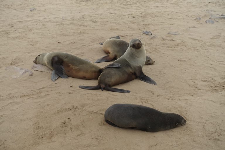 There were a few among them who CLEARLY played up for my camera. Such posers!