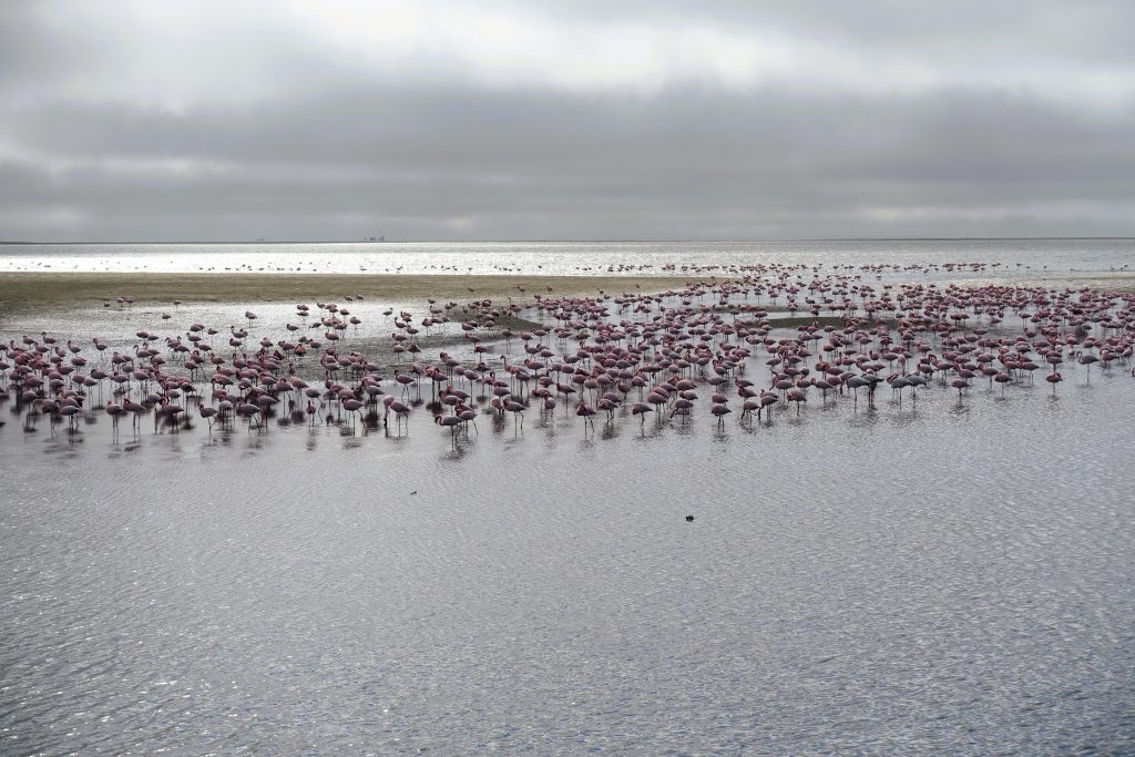 Walvis Bay