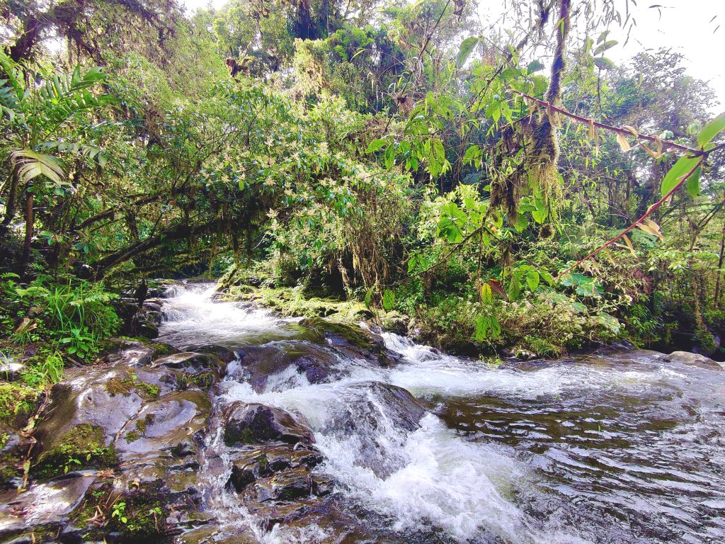 Lost Waterfalls