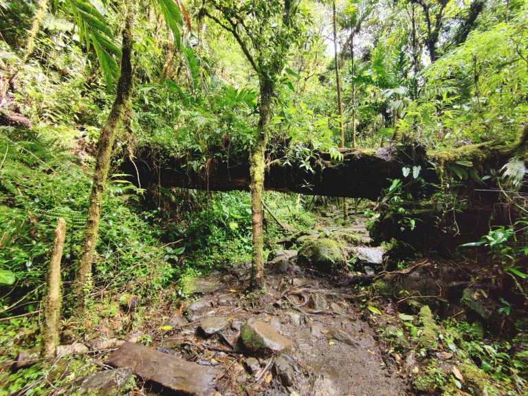 Made a great friend doing this hike, who I'd end up reconnecting with later in my trip for more extended travels in Nicaragua. I enjoyed that more than this mud tbh.