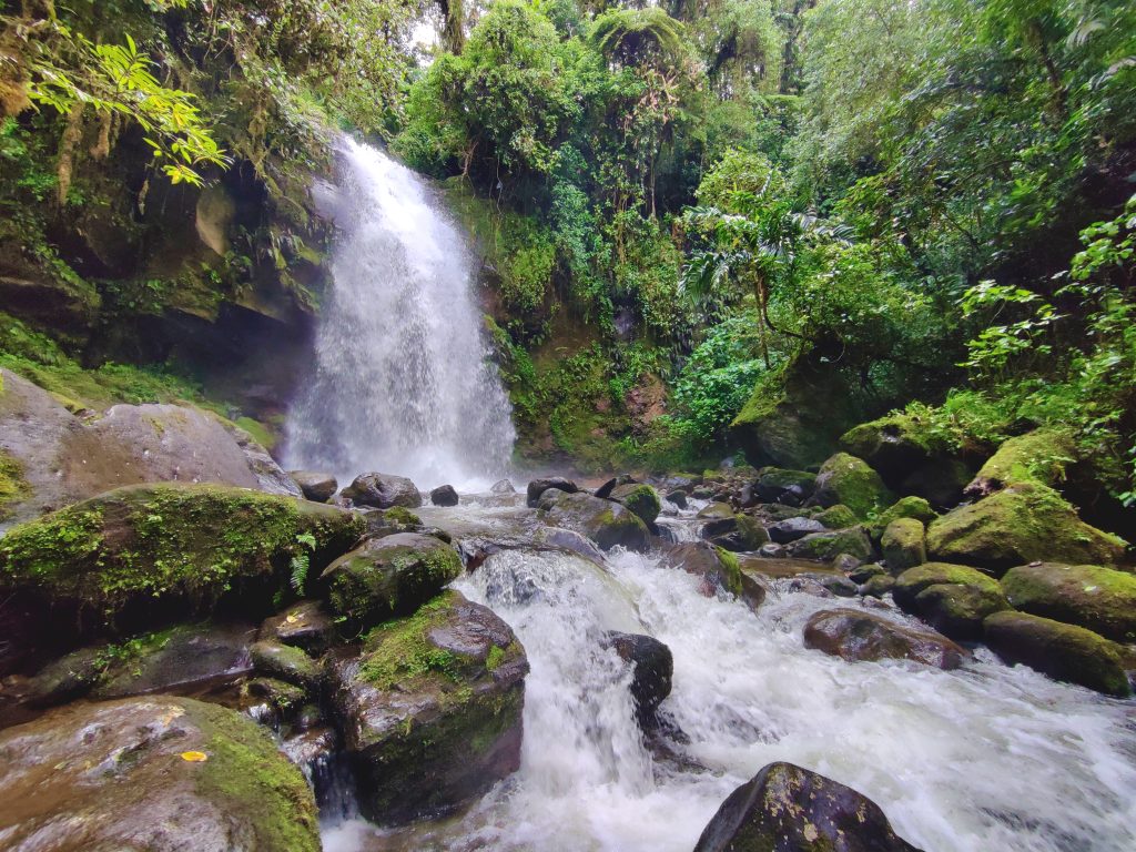 Lost Waterfalls
