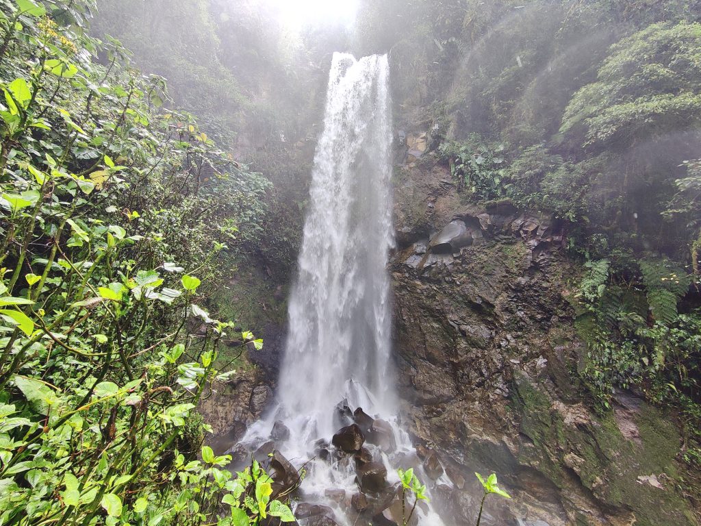 Lost Waterfalls