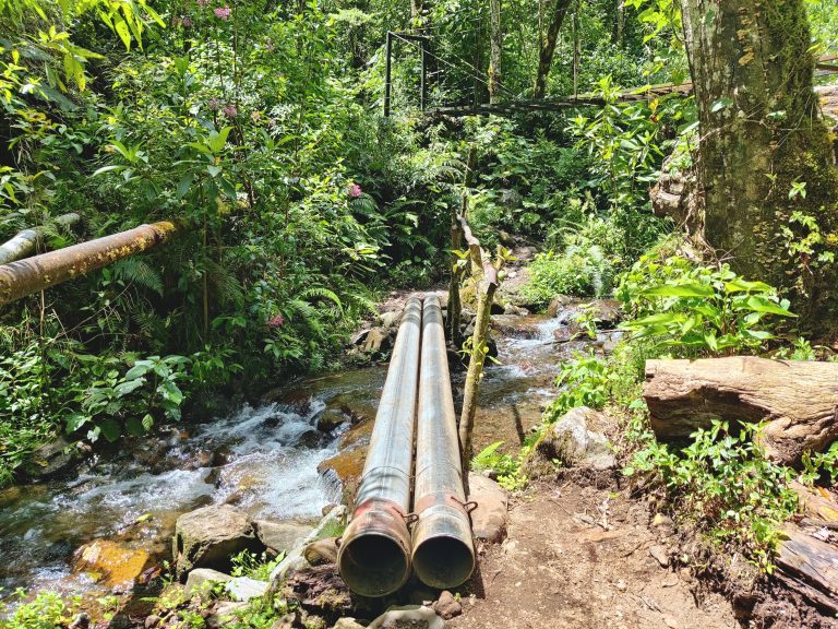 After smashing the Lost Waterfalls hike, I convinced my new buddy to walk 20 mins down the road to do a second hike: the Pipeline Trail (pipelines that you follow along the way visible here). I was hoping to reconnect with my bus buddies from the day before here, but erratic signal/comms + transport woes on their end meant that we only briefly saw each other as we were exiting and they were beginning. :/