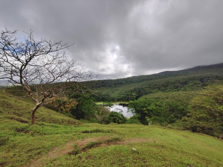 Arenal lava fields. There was a massive eruption back in 1968 that laid waste to the surrounding area, yet in the decades since the vegetation and wildlife has made a triumphant comeback.