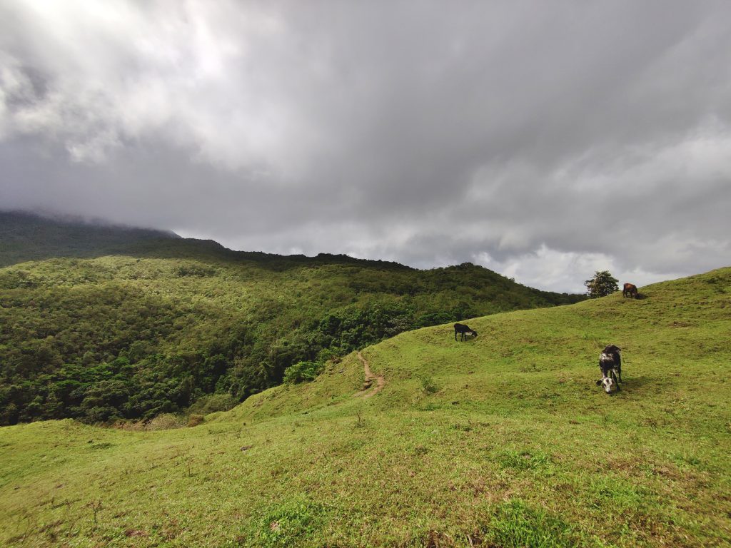 Arenal lava fields