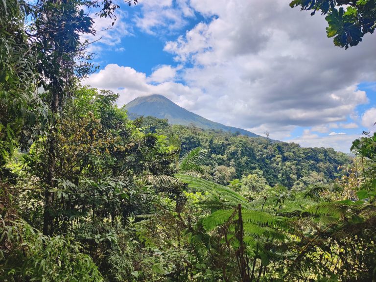 After lunch, we were in luck: the clouds actually parted for a reasonable length of time, giving us unobstructed views of the mighty volcano at last!