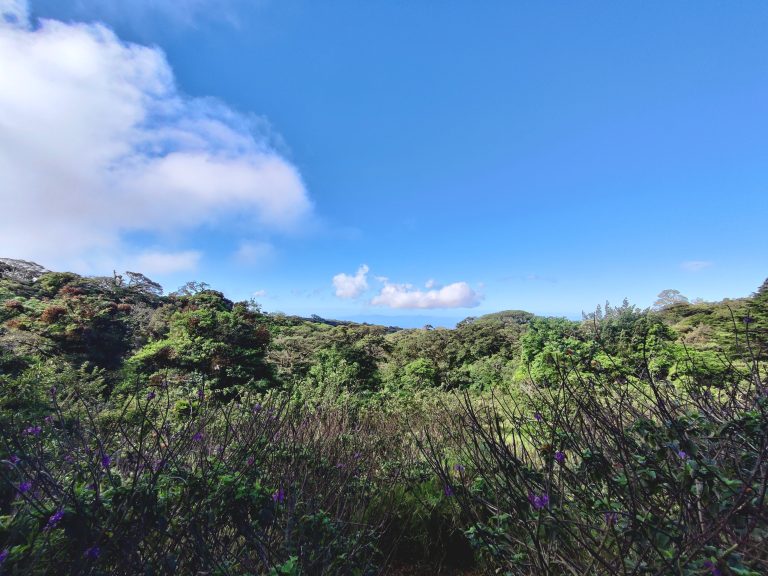 A cool view from the reserve - I think that's the Pacific ocean in the distance there.