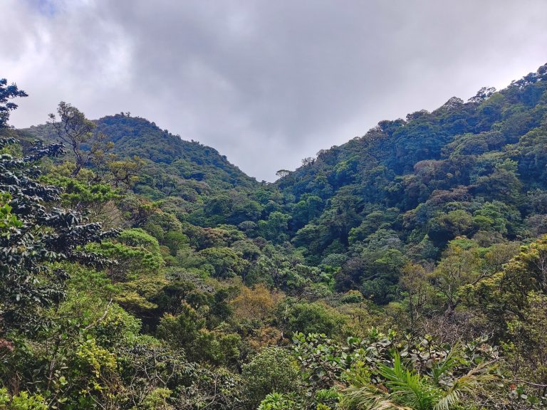 The Continental Divide: "a mountainous, high-elevation ridge running from northwest to southeast, separating Pacific and Caribbean watersheds." (Thanks Google!)