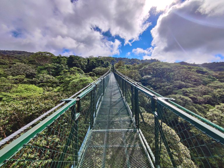 And here's one last pic of a hanging bridge (there are eight in total iirc). A needless expense.