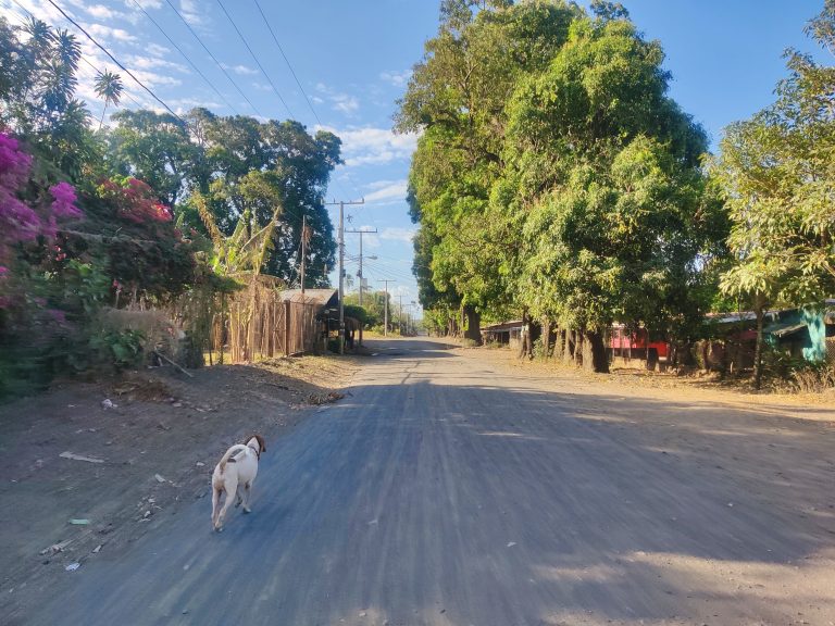 Mérida. Eerily reminiscent of parts of Cambodia when I lived there. There were other places on the island that rekindled those memories even more pointedly, but I didn't get a chance to capture them, sadly.

Note the pup in this pic btw. We'll come to him later.