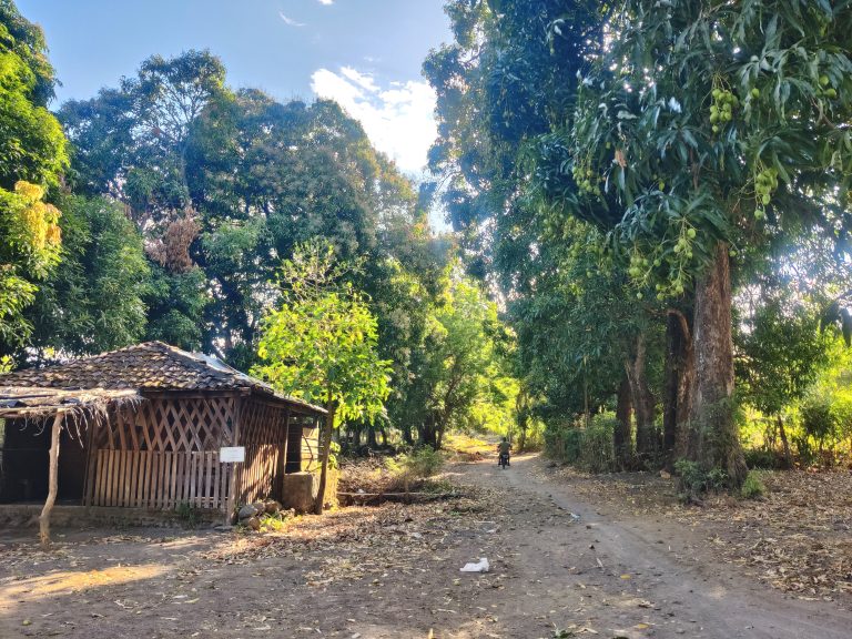 The trailhead for the Maderas volcano hike, I believe? Basically spent the first hour or so walking through what felt like private farmland.
