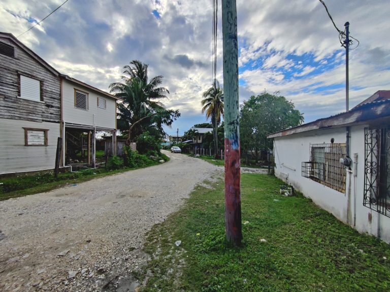 There was very little happening in San Ignacio on Sunday afternoon, so I spent a lot of time effectively photographing people's houses...