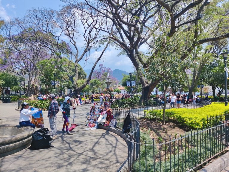 Here's Parque Central again the next morning. The vibrant focal point of the city's historic core.
