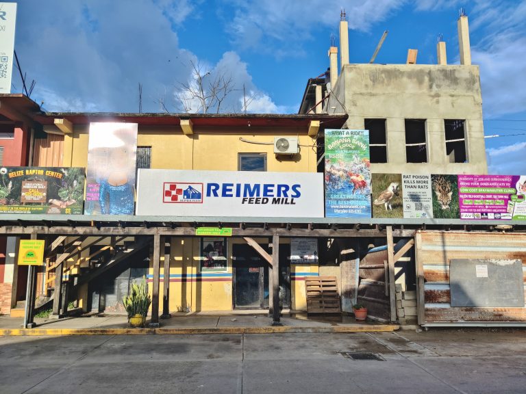 Interesting stores downtown...