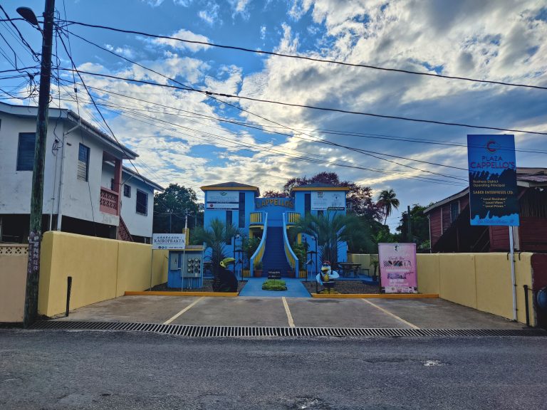 This architectural monstrosity was designed to stand out from the crowd, eh!