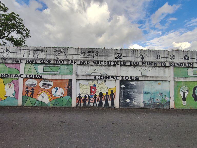 There were a lot of murals and street art downtown; much of it expressing Belizean pride (which seems to be important for such a small nation of only 400k) but also awareness of the need to improve and continue developing. I liked it a lot.