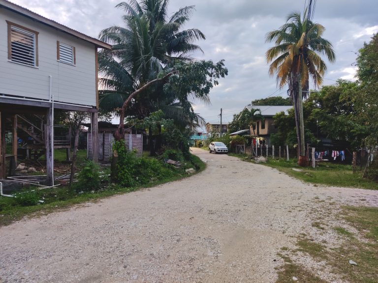 One last image of local life. I'm sad that my interactions with Belize were so limited - sth compounded by my being here on a Sunday afternoon - but what I saw was intriguing. I'd definitely be interested in returning one day!