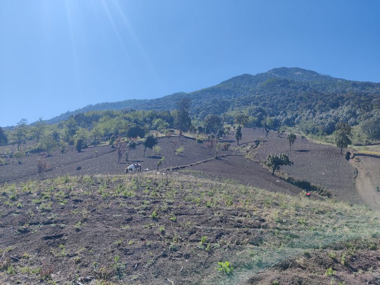 As much as I loved Antigua, the real reason why I was in this region was Acatenango. Possibly the most renowned volcano hike in the world, it requires a guide (if you wish to overnight at a camp), and tour operators sell out fast during peak season. I was lucky to find a last-minute spot with a solid company, and the next morning I was up at something like 6am to get to the group meeting point at Parque Central. We were driven to La Soledad where the hike begins and where our tour operator's HQ is. After a very solid vegan breakfast and the option to rent some hiking gear (seems I turned up much better prepared than others in the group, much to the detriment of my backpack!), we finally began hiking at around 9:30am.