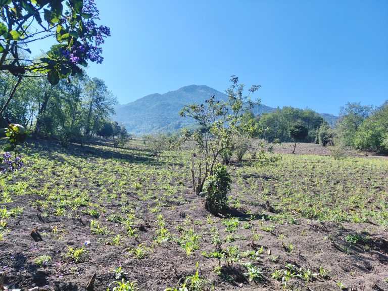 The early part of the trail takes you through what seems to be farmland.