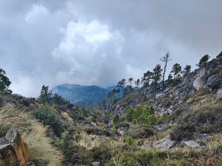 It was nice to be up by the treeline tho. By this point, we were very close to base camp.