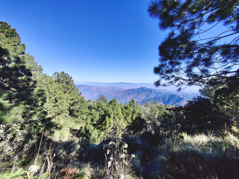 One last shot from Acatenango. I wasn't as snap-happy during the descent, for obvious reasons! It was a beautiful experience anyway.

Those of us that had summited Acatenango that morning (seven of us) had met up with those that chose to sleep in at base camp (three) and once we got off Acatenango we had to await the six others that had chosen to head to Fuego for sunrise. Their pics were incredible, but I'm glad I did things the way that I did. This was definitely an experience to add to the scrapbook of 'life highlights'. Gracias, Acatenango!