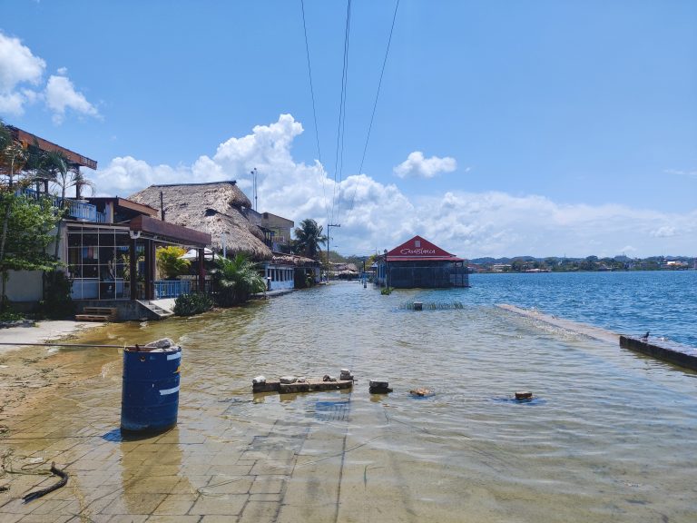 Flores is a city that expands well beyond this island (Isla de Flores) where I was basing myself, but this is the historic core and the main site of interest for tourists. It's also partially (and permanently?) flooded by Lake Petén Itzá which has reclaimed the main promenade along the shore!