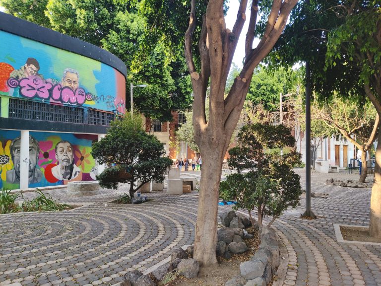Pretty scenes in between Cuauhtémoc metro station and my hostel.