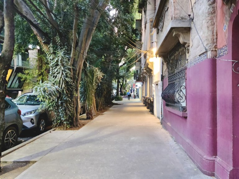 A few more random street shots from Roma Norte to follow.