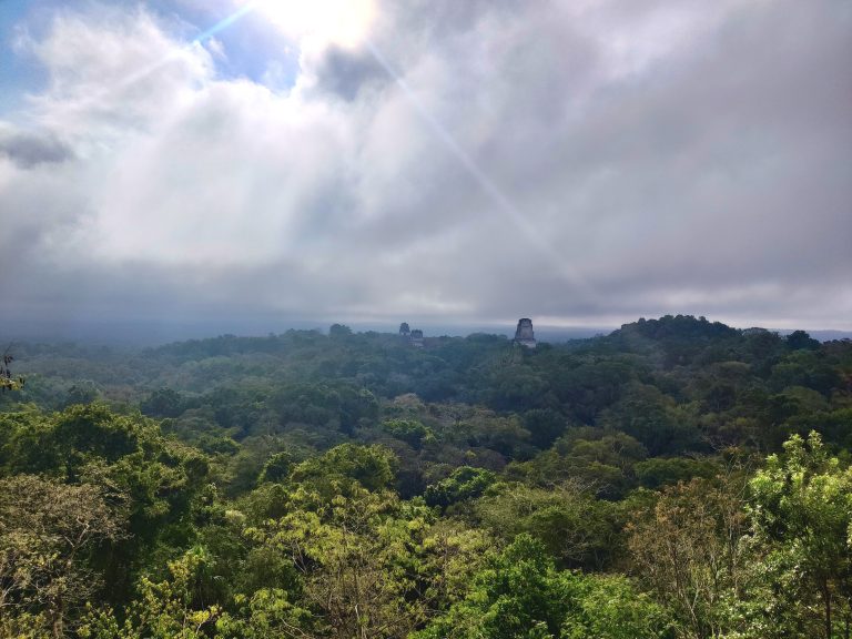First thing I did once inside was climb atop Temple IV which offers this spectacular vista of the Tikal ruins poking their heads out above the jungle. It was far more breathtaking in person, and I had to spend a good 30 minutes here just savouring the sounds of the forest and the sights before me.