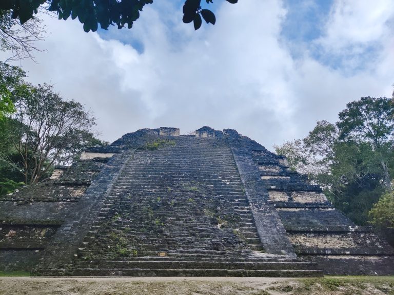 I didn't do the best job of noting down which temples corresponded to which pics (needless to say they were all very impressive), so let's talk a little Tikal history...