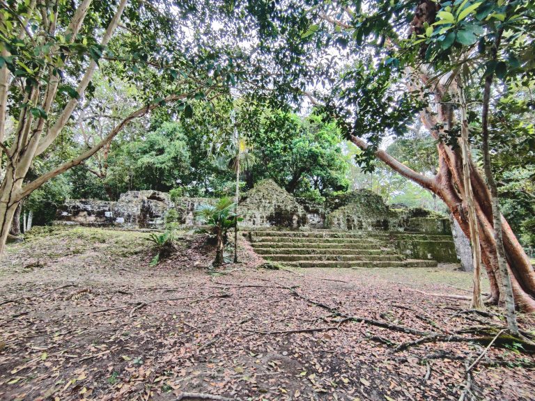 There are ruins here that date back to the 4thC BCE, but Tikal was at its peak as one of the Mayan civilisation's most powerful city-states between 200-900 CE. It began to go into decline for a number of reasons, and was eventually abandoned at the end of the 10thC, after which it was reclaimed by the surrounding forest.