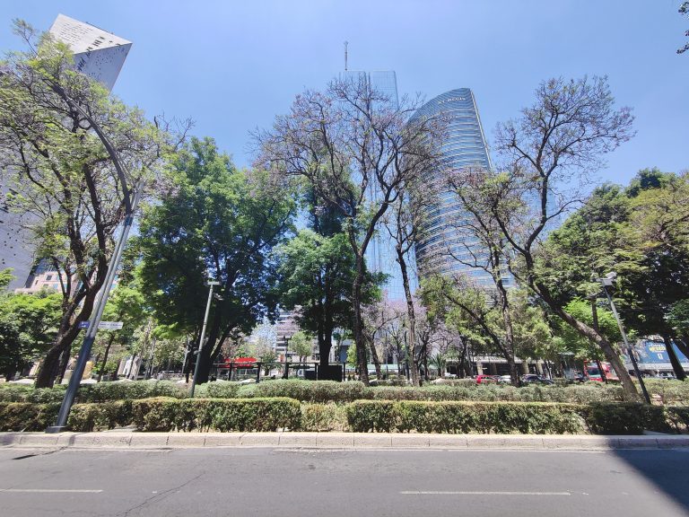 My hunt for vegan hangover grub on Good Friday (when a lot of places were shut!) took me to Paseo de la Reforma.