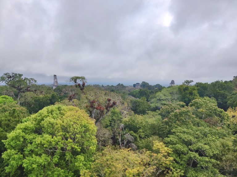 I *think* these may have been the views from the 'Lost World' (Mundo Perdido) pyramid. But not entirely sure.