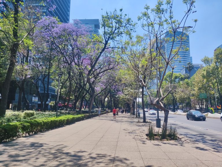 Paseo de la Reforma is a 19thC European-style boulevard designed at the behest of (European!) Emperor Maximilian. 