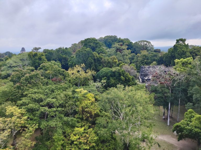 Tikal is truly a place where one's imagination can run absolutely wild. 