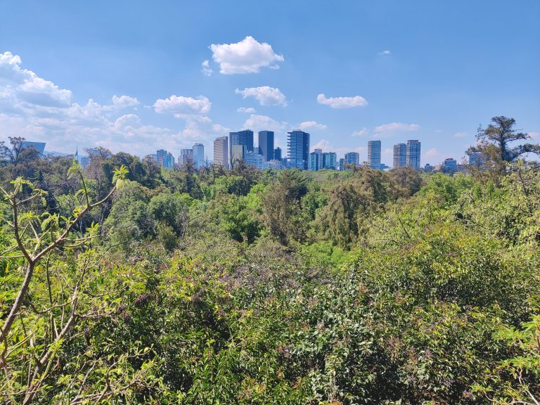 I'd come here to visit Chapultepec Castle, residence of most Mexican leaders from the mid-19thC to the mid-20thC. Alas, I failed to factor in the 'Good Friday' problem - the queue to get in was absolutely enormous; at least 40 minutes long. In my hungover despair I'd all but given up and walked away before having a (likely hangover-fuelled) change of heart and turning back to endure the line. #yolo This was a scene on my way up to Chapultepec Castle after eventually getting in.