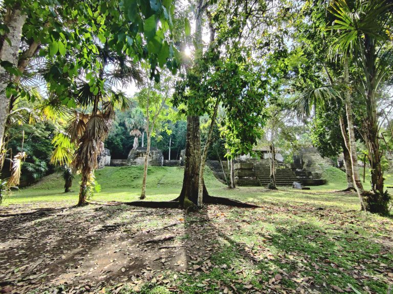 Again, it's mind-boggling to imagine what this place must have looked like during its heyday as a Mesoamerican cosmopolis, and it's also wild to imagine what it must have been like in the centuries afterwards, abandoned in the jungle and known only to animal kingdom.