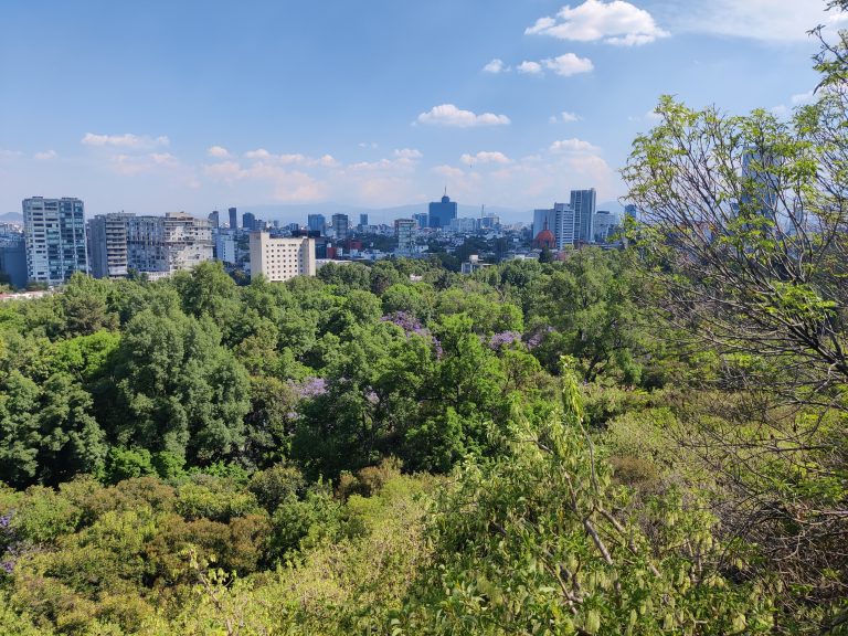 More views over Chapultepec Park and into the city.